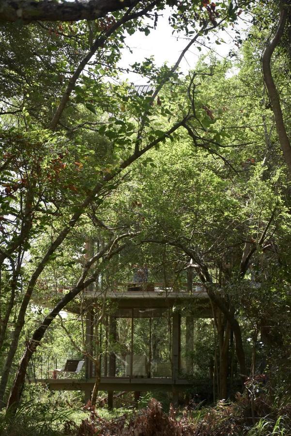 Wild Grass Nature Resort Sigiriya Exterior photo
