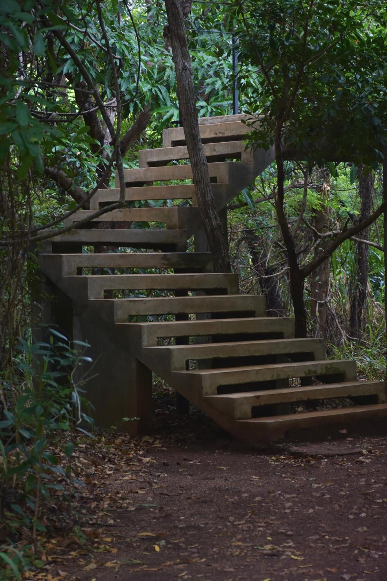 Wild Grass Nature Resort Sigiriya Exterior photo