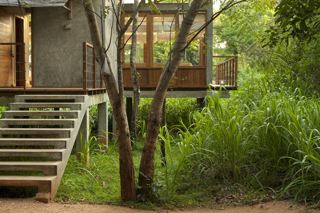 Wild Grass Nature Resort Sigiriya Exterior photo