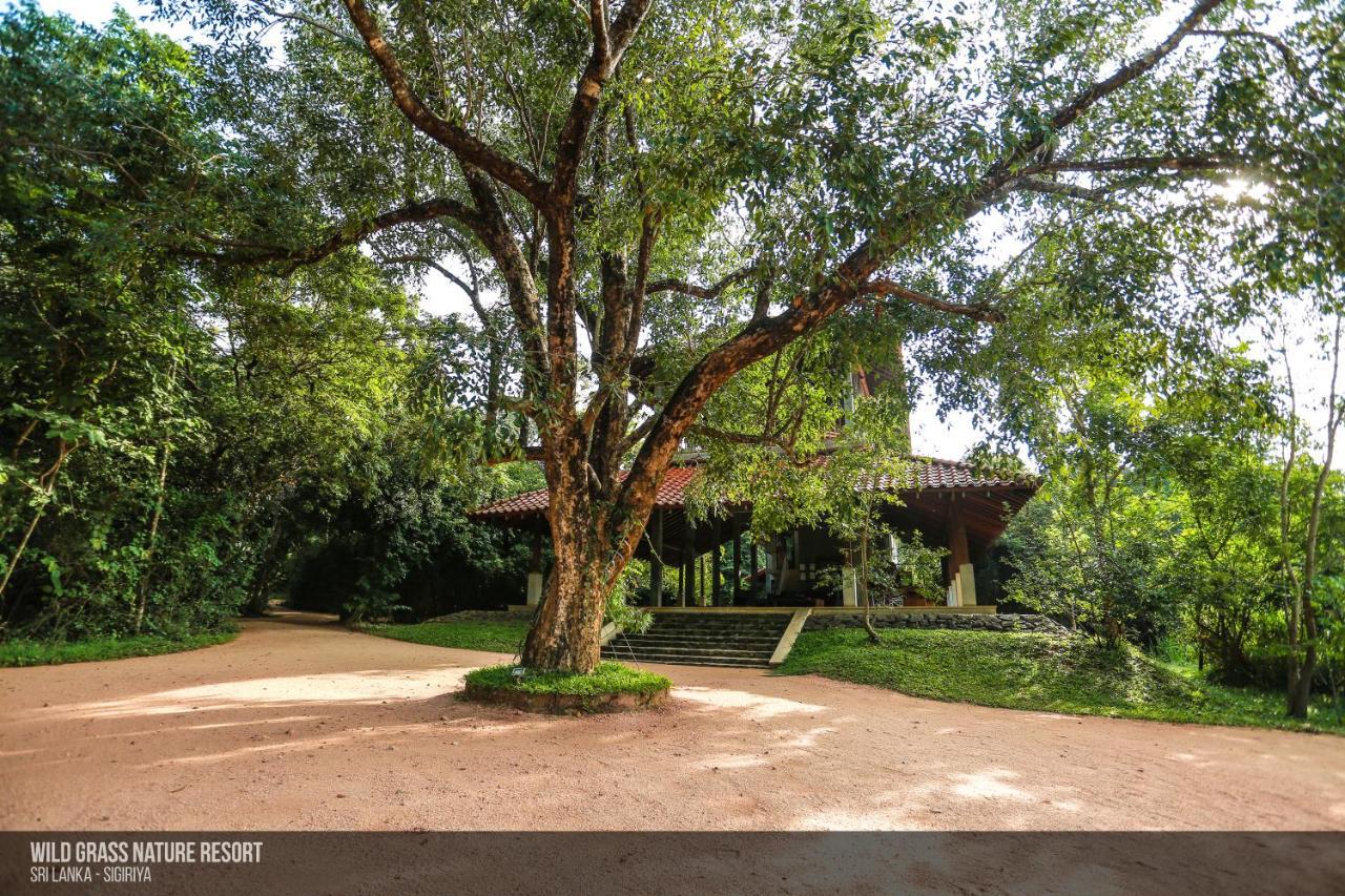 Wild Grass Nature Resort Sigiriya Exterior photo