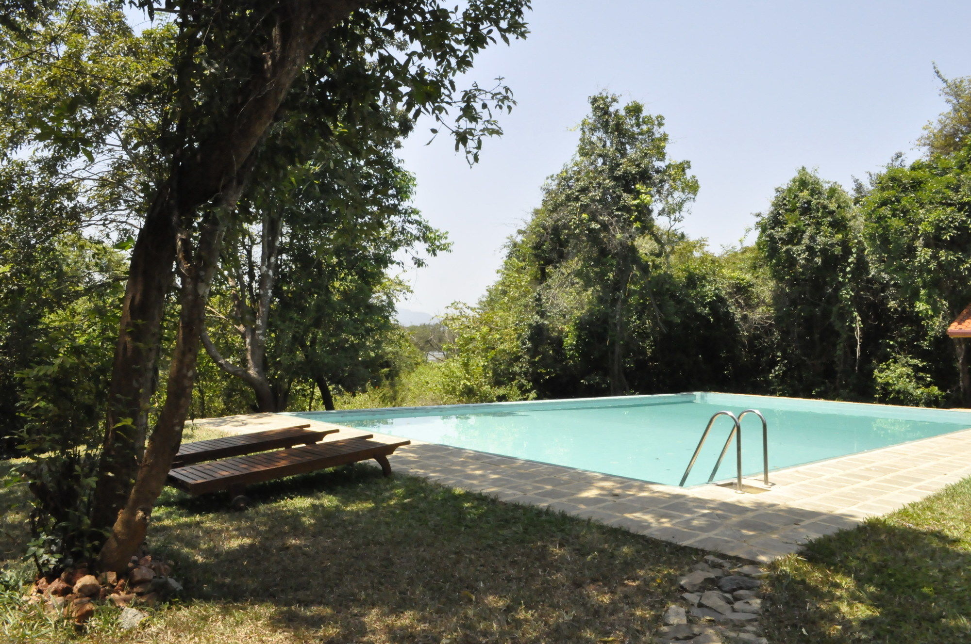 Wild Grass Nature Resort Sigiriya Exterior photo