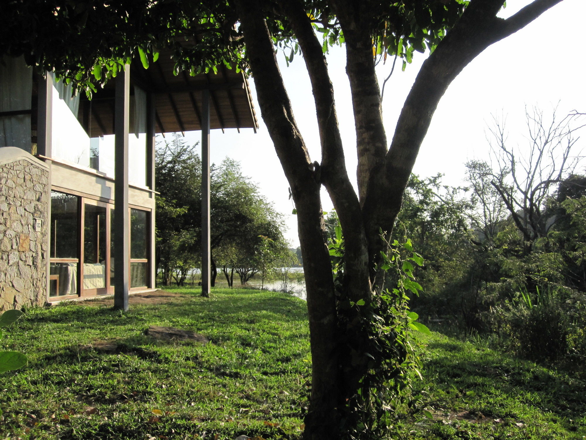 Wild Grass Nature Resort Sigiriya Exterior photo